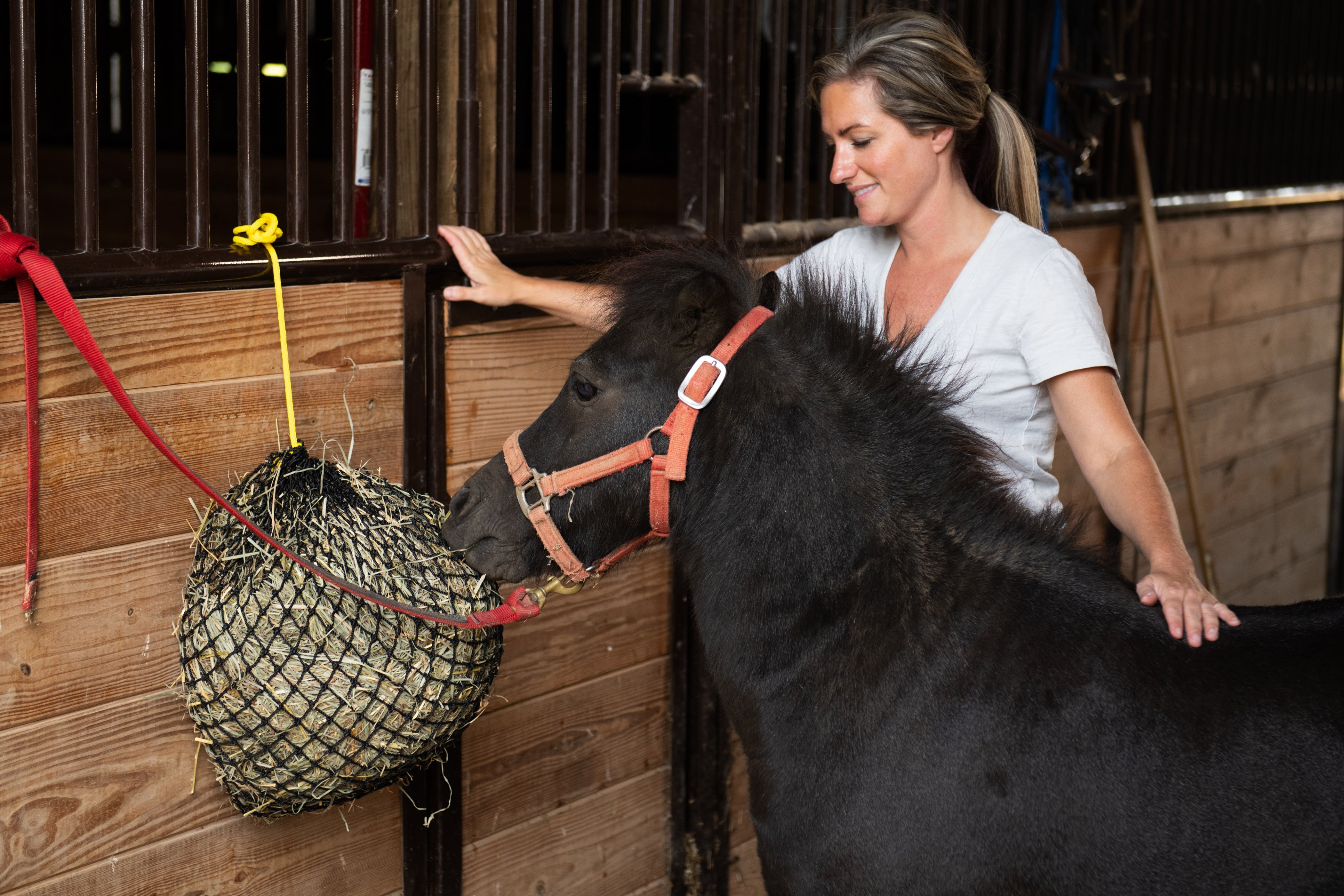Texas Haynet Xtra Small Hay Net - Texas Haynet - Equiluxe Tack