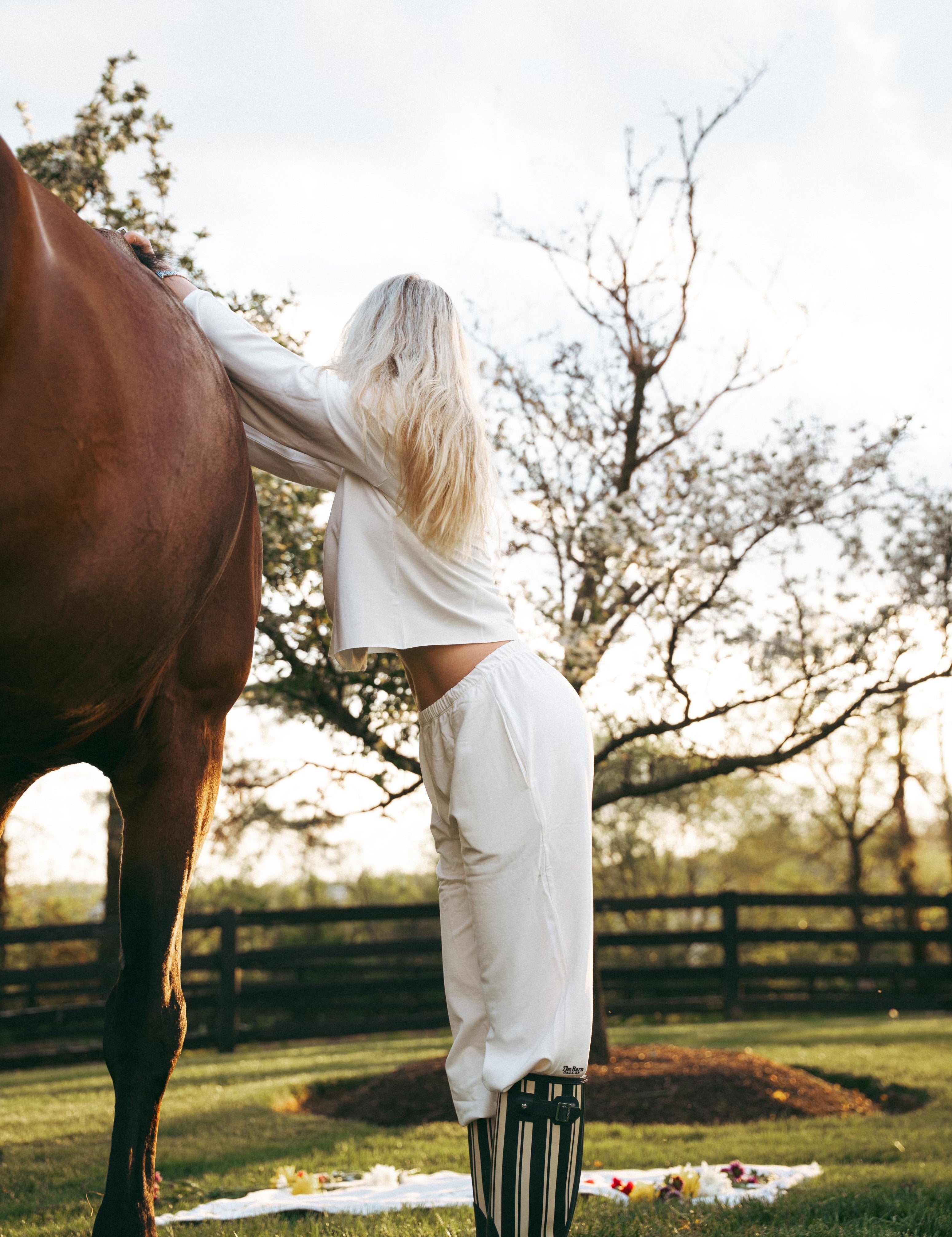 The Barn Dallas Ringside Belle Sweatpant - Equiluxe Tack