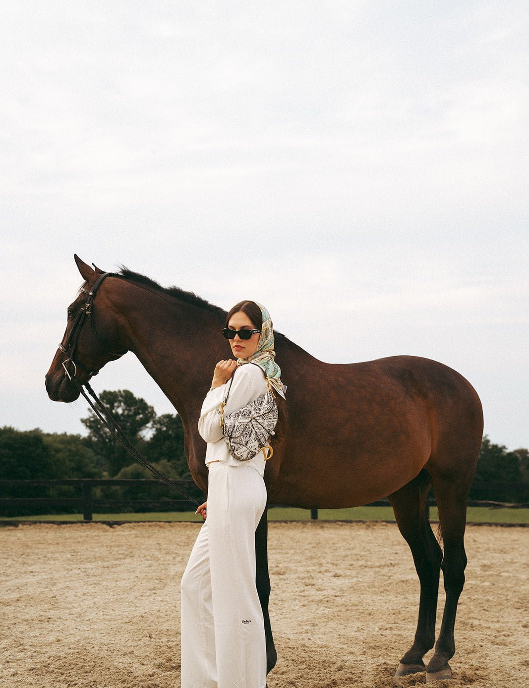 The Barn Dallas Ringside Belle Sweatpant - Equiluxe Tack