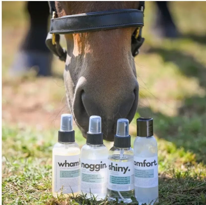 The Infused Equestrian 'Infusion Starter Set' - Bundle Collection - The Infused Equestrian - Equiluxe Tack