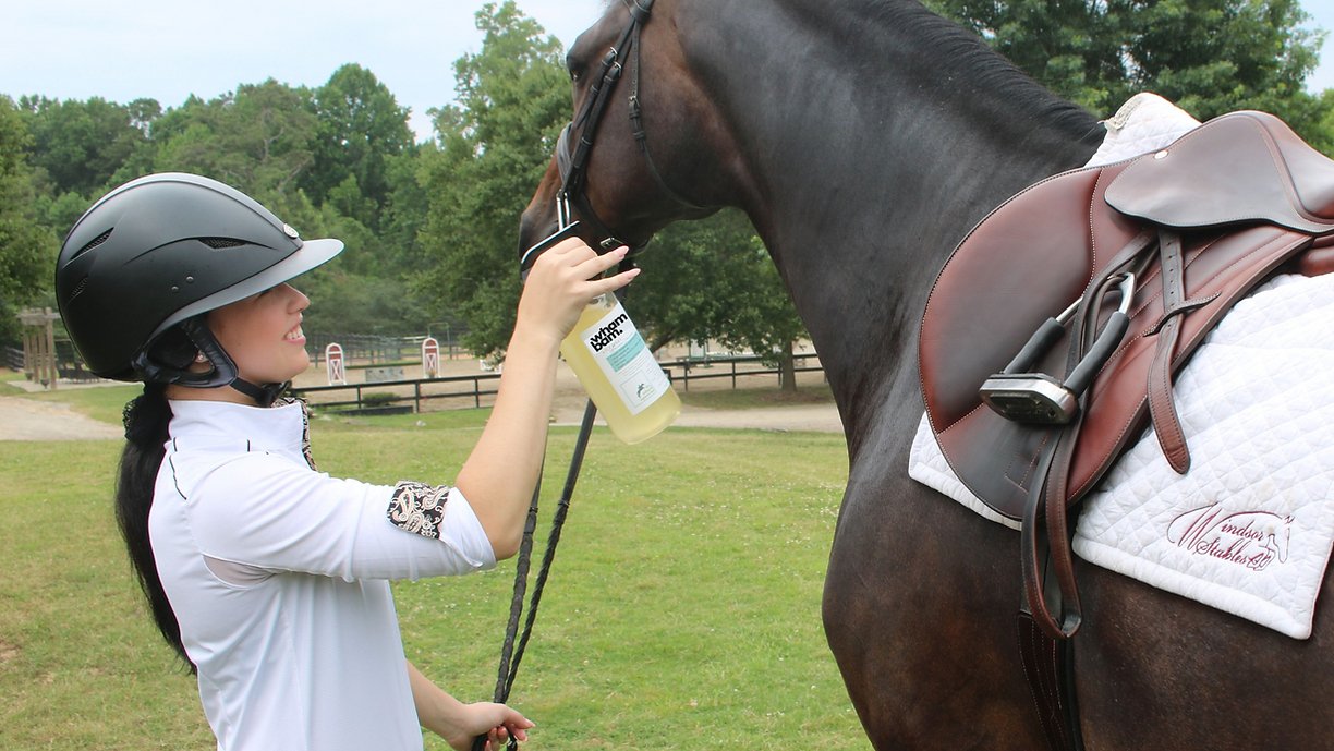 The Infused Equestrian 'Wham Bam' All Natural Fly Spray (28 oz) - The Infused Equestrian - Equiluxe Tack