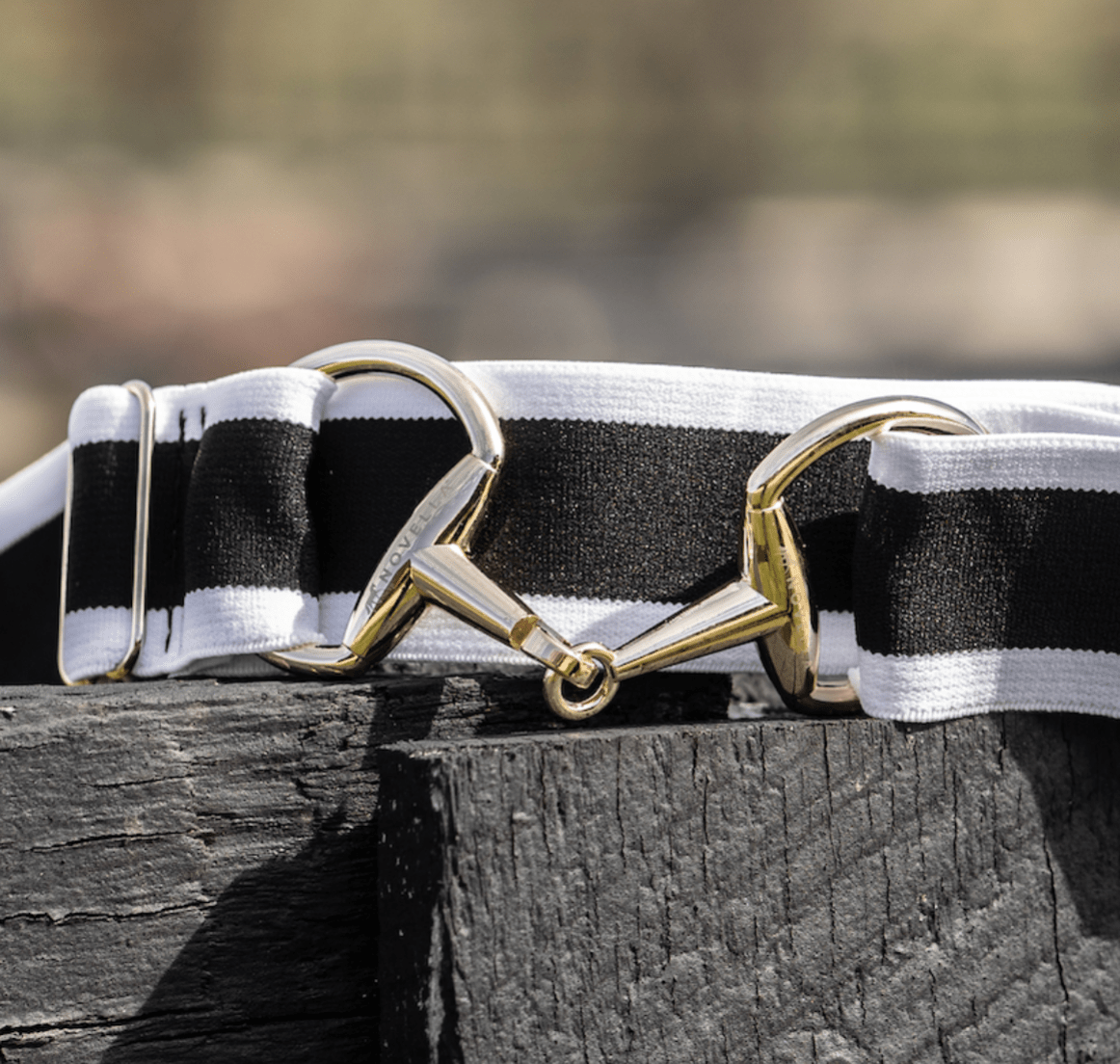The Novella Snaffle Belts in Black. - Novella Equestrian - Equiluxe Tack
