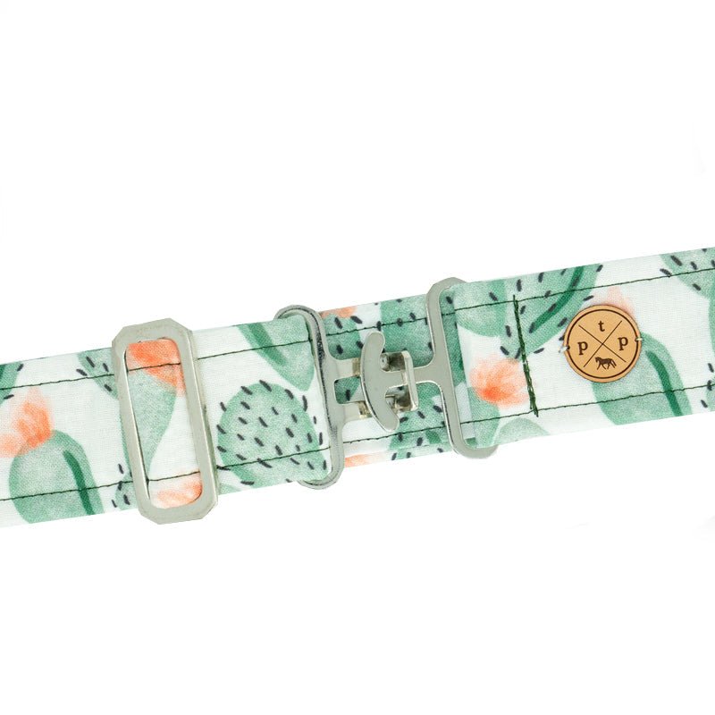 The Posh Pony Coachella Belt - The Posh Pony - Equiluxe Tack