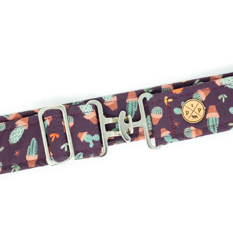 The Posh Pony Looking Sharp Belt - The Posh Pony - Equiluxe Tack