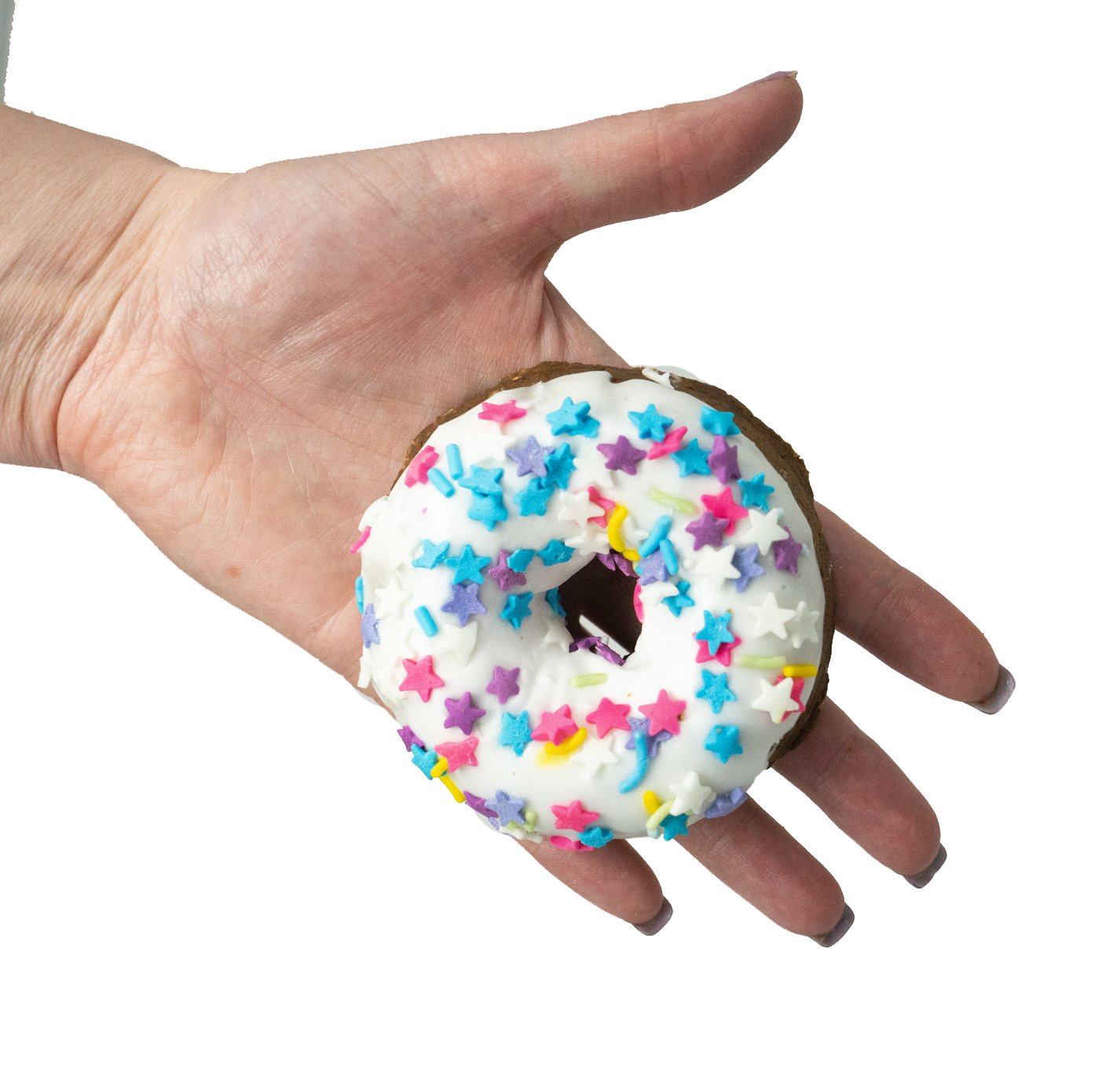 The Posh Pony Party Donuts - The Posh Pony - Equiluxe Tack