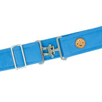 The Posh Pony Periwinkle Belt - The Posh Pony - Equiluxe Tack