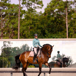 The Proper Fox Asia Sun Shirt - Equiluxe Tack