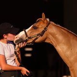 The Proper Fox Beige Short Sleeve - Equiluxe Tack