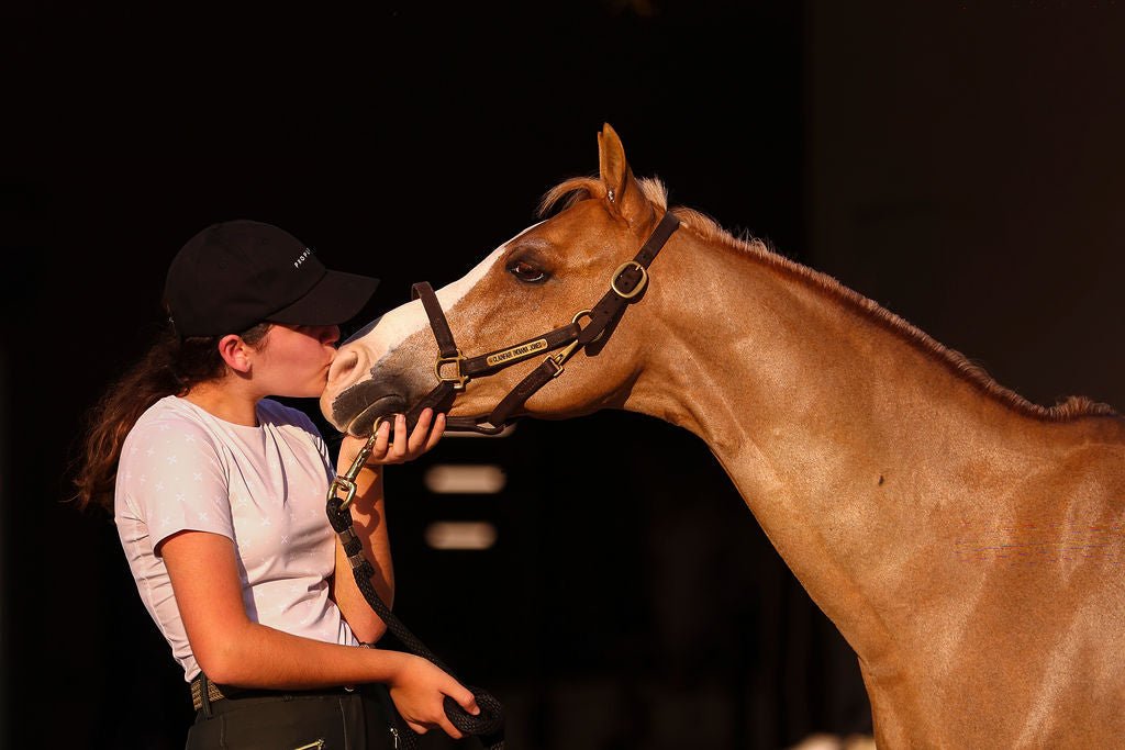 The Proper Fox Beige Short Sleeve - Equiluxe Tack