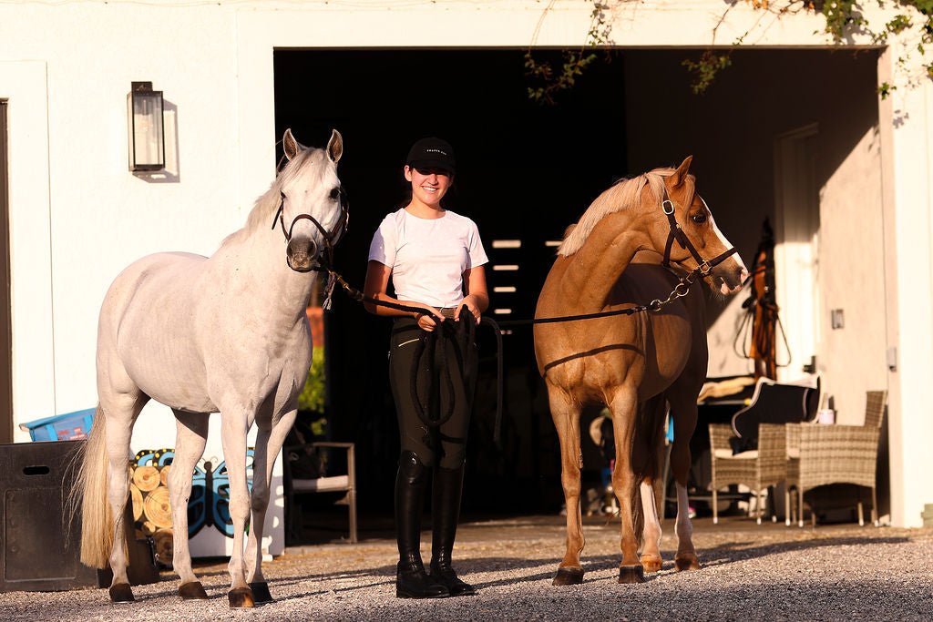 The Proper Fox Beige Short Sleeve - Equiluxe Tack