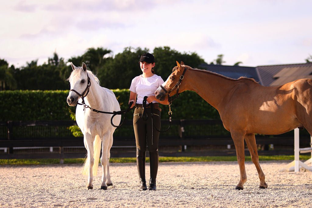 The Proper Fox Beige Short Sleeve - Equiluxe Tack