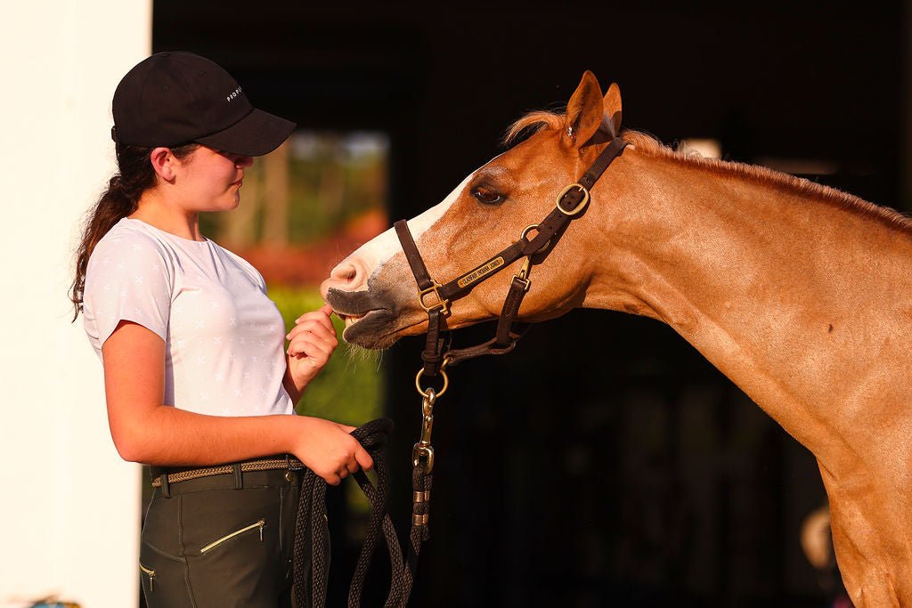 The Proper Fox Beige Short Sleeve - Equiluxe Tack