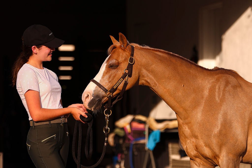 The Proper Fox Beige Short Sleeve - Equiluxe Tack