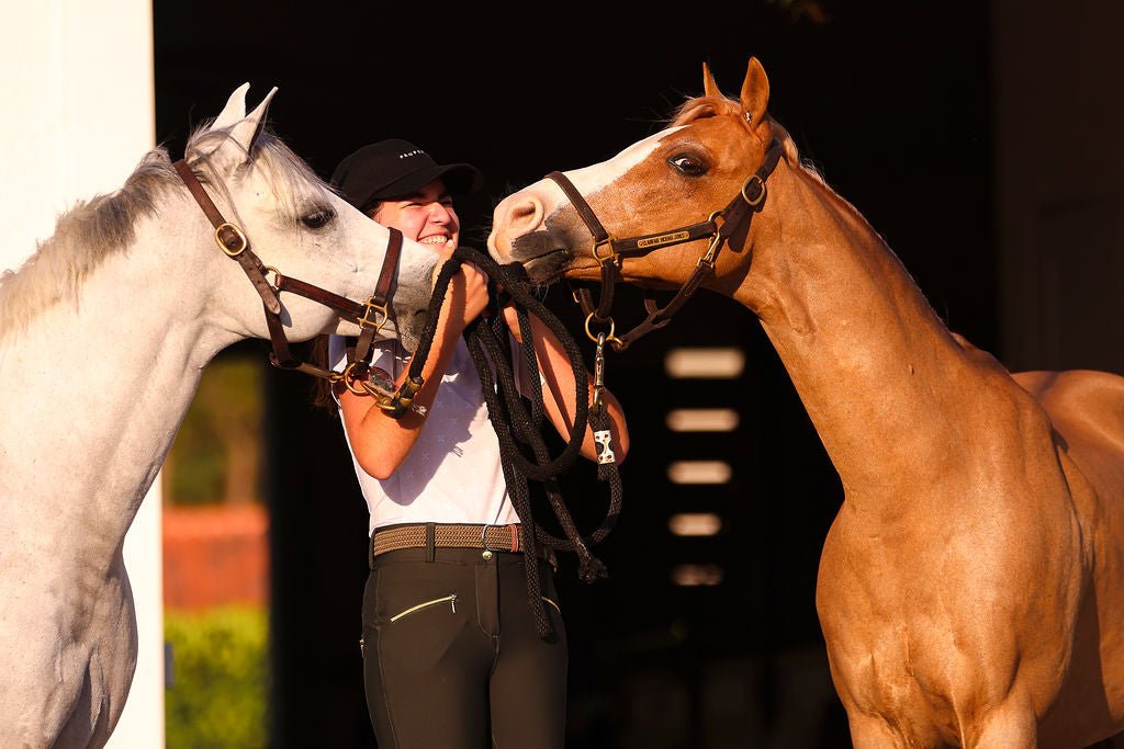 The Proper Fox Beige Short Sleeve - Equiluxe Tack
