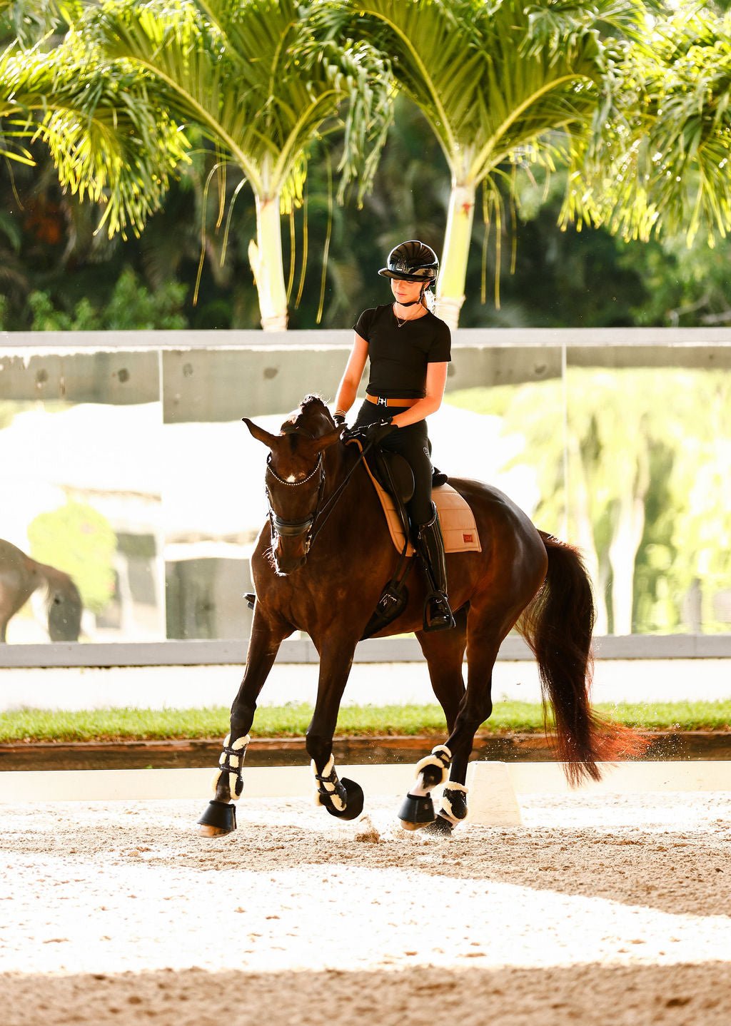 The Proper Fox Black Short Sleeve - Equiluxe Tack
