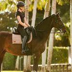 The Proper Fox Black Short Sleeve - Equiluxe Tack