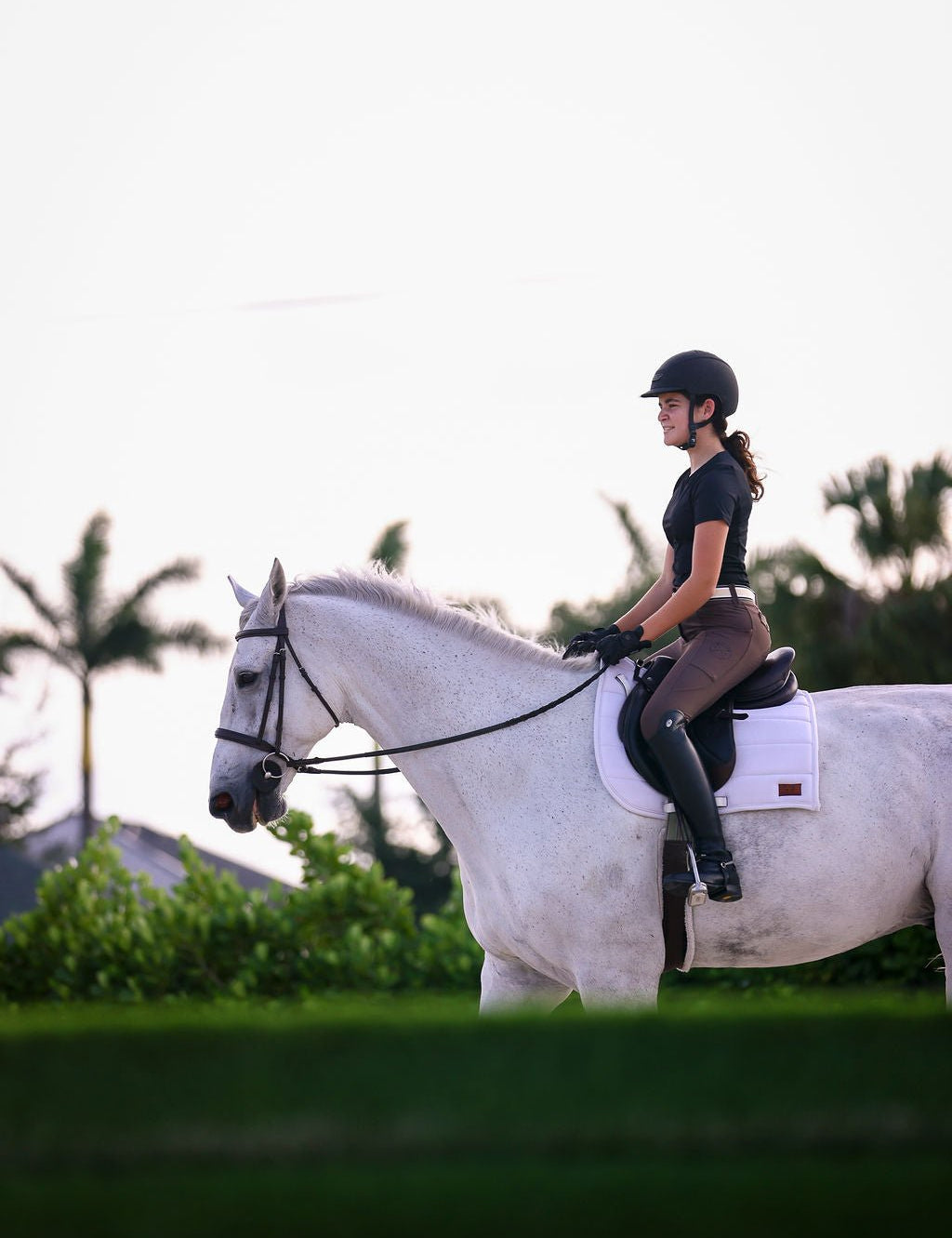 The Proper Fox Black Short Sleeve - Equiluxe Tack