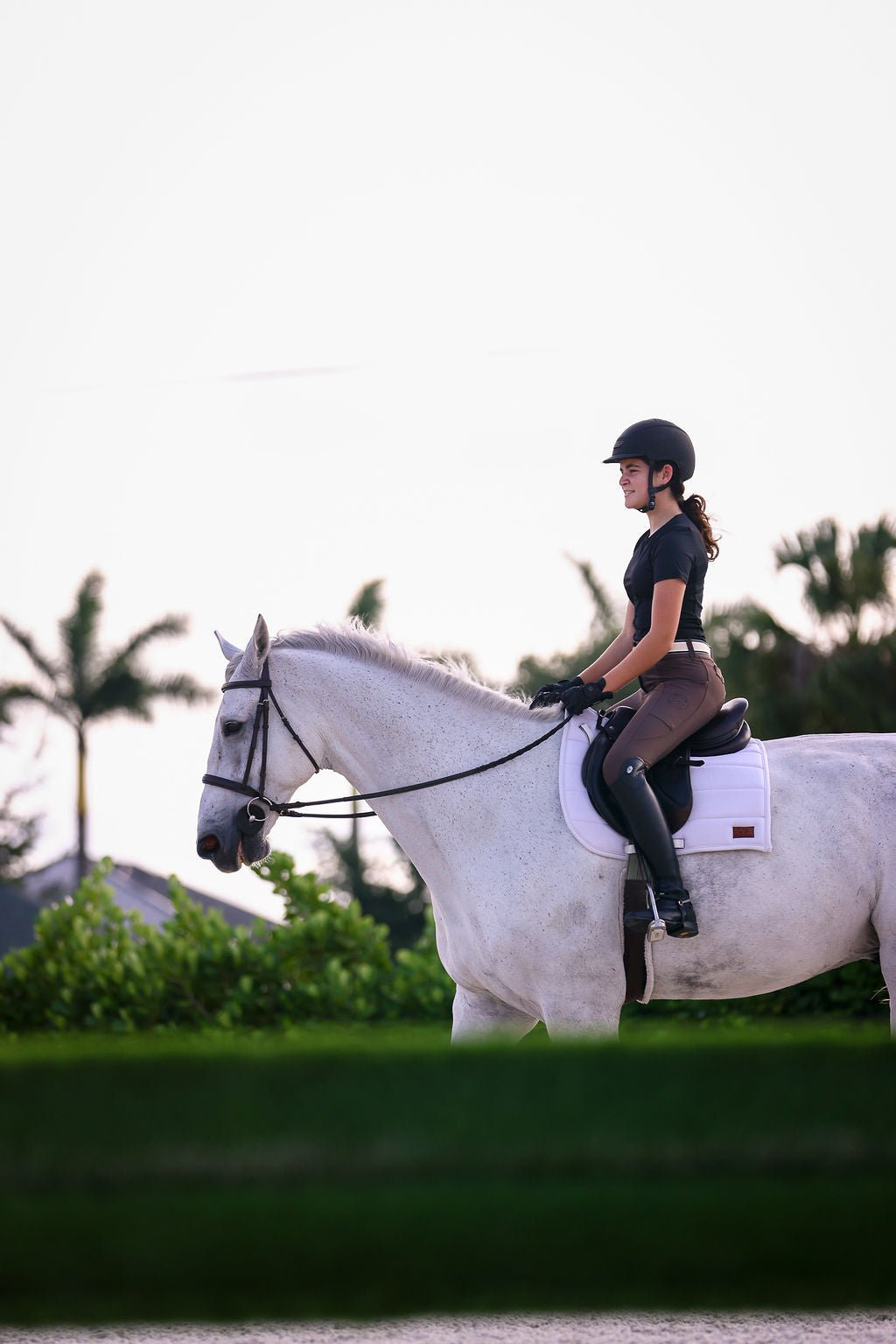The Proper Fox Black Short Sleeve - Equiluxe Tack