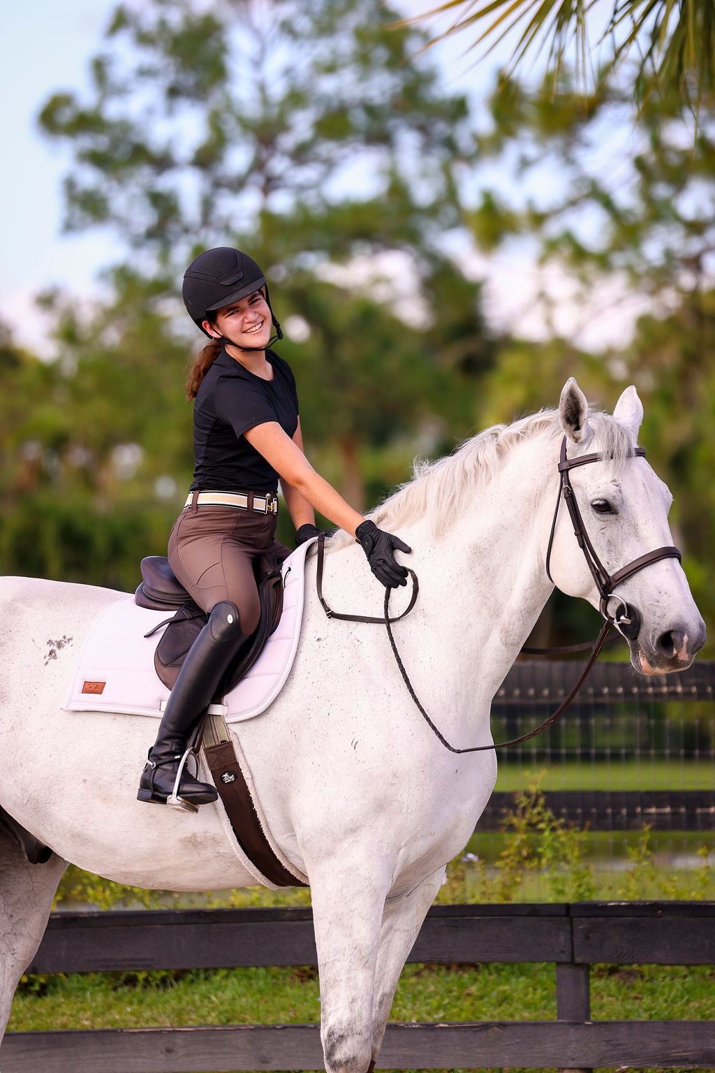 The Proper Fox Black Short Sleeve - Equiluxe Tack