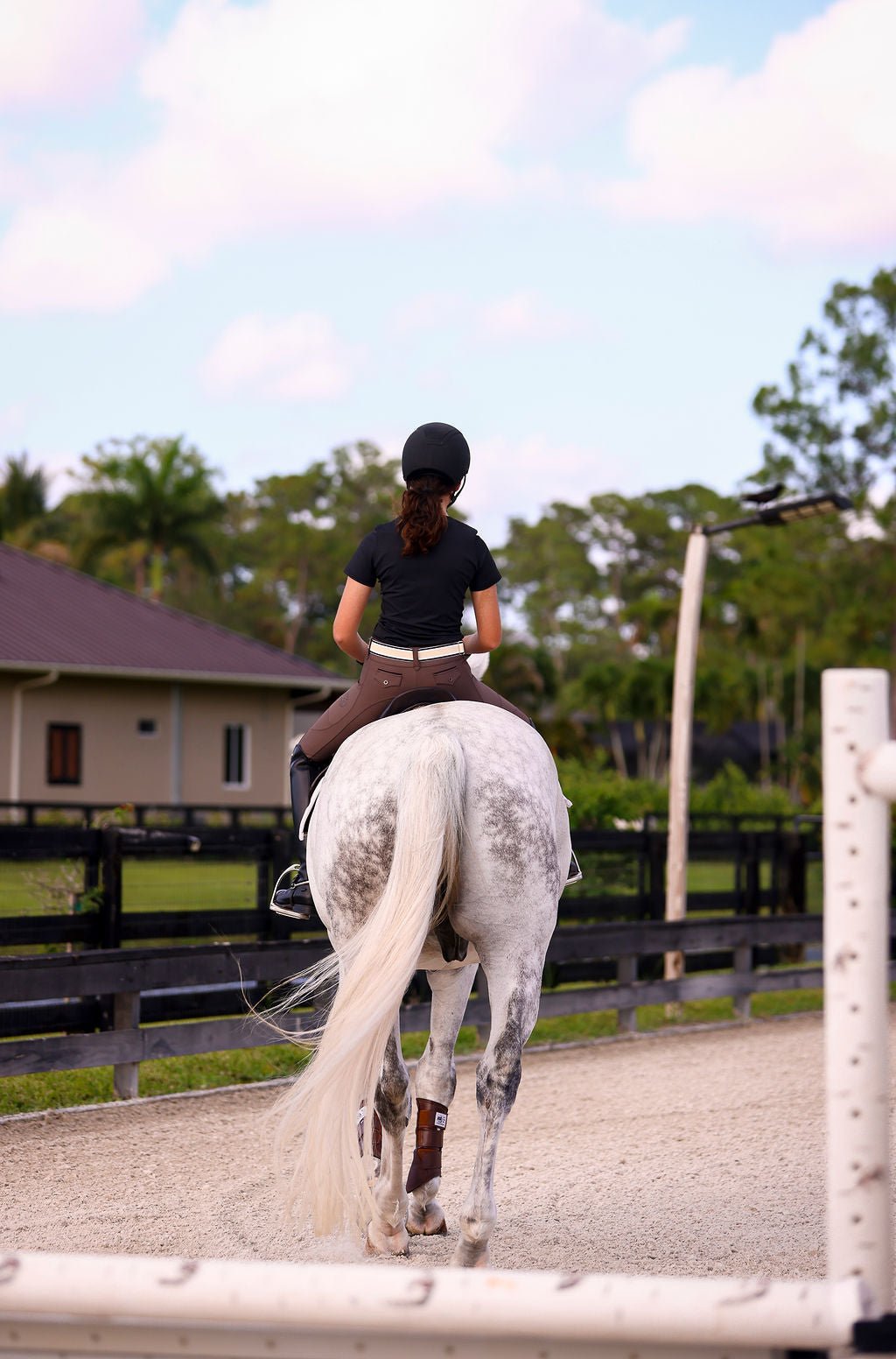 The Proper Fox Black Short Sleeve - Equiluxe Tack