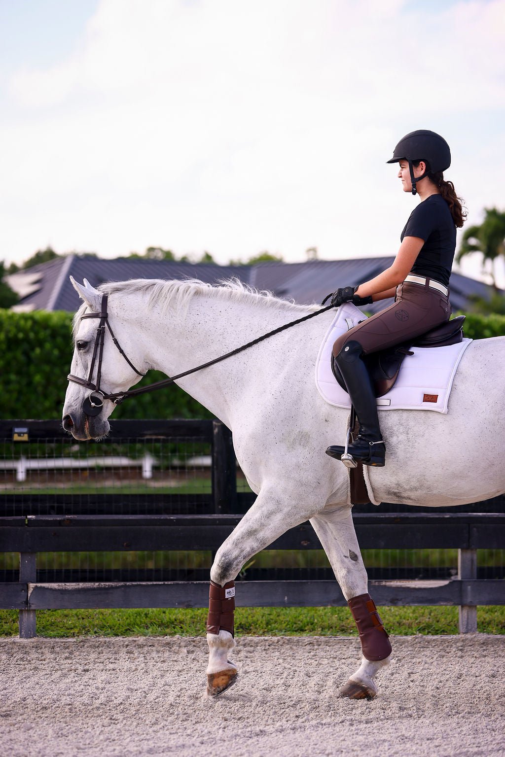 The Proper Fox Black Short Sleeve - Equiluxe Tack