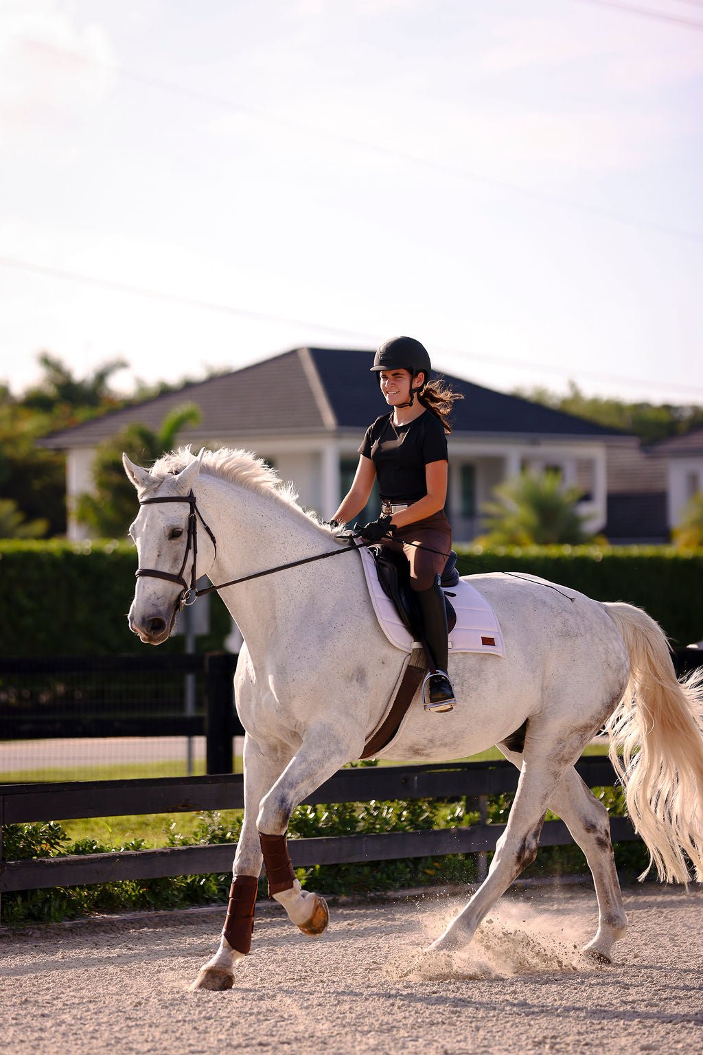The Proper Fox Black Short Sleeve - Equiluxe Tack