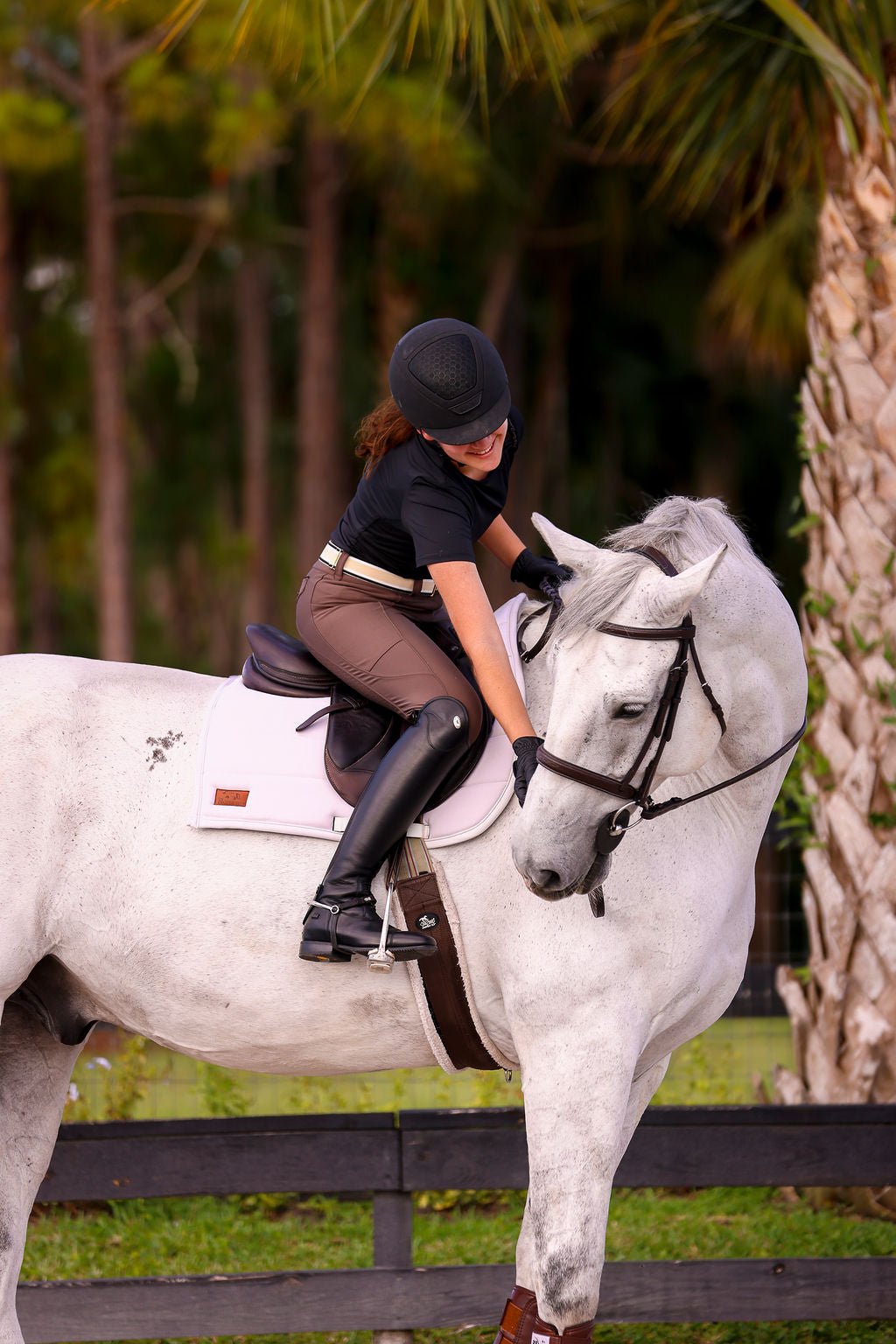 The Proper Fox Black Short Sleeve - Equiluxe Tack