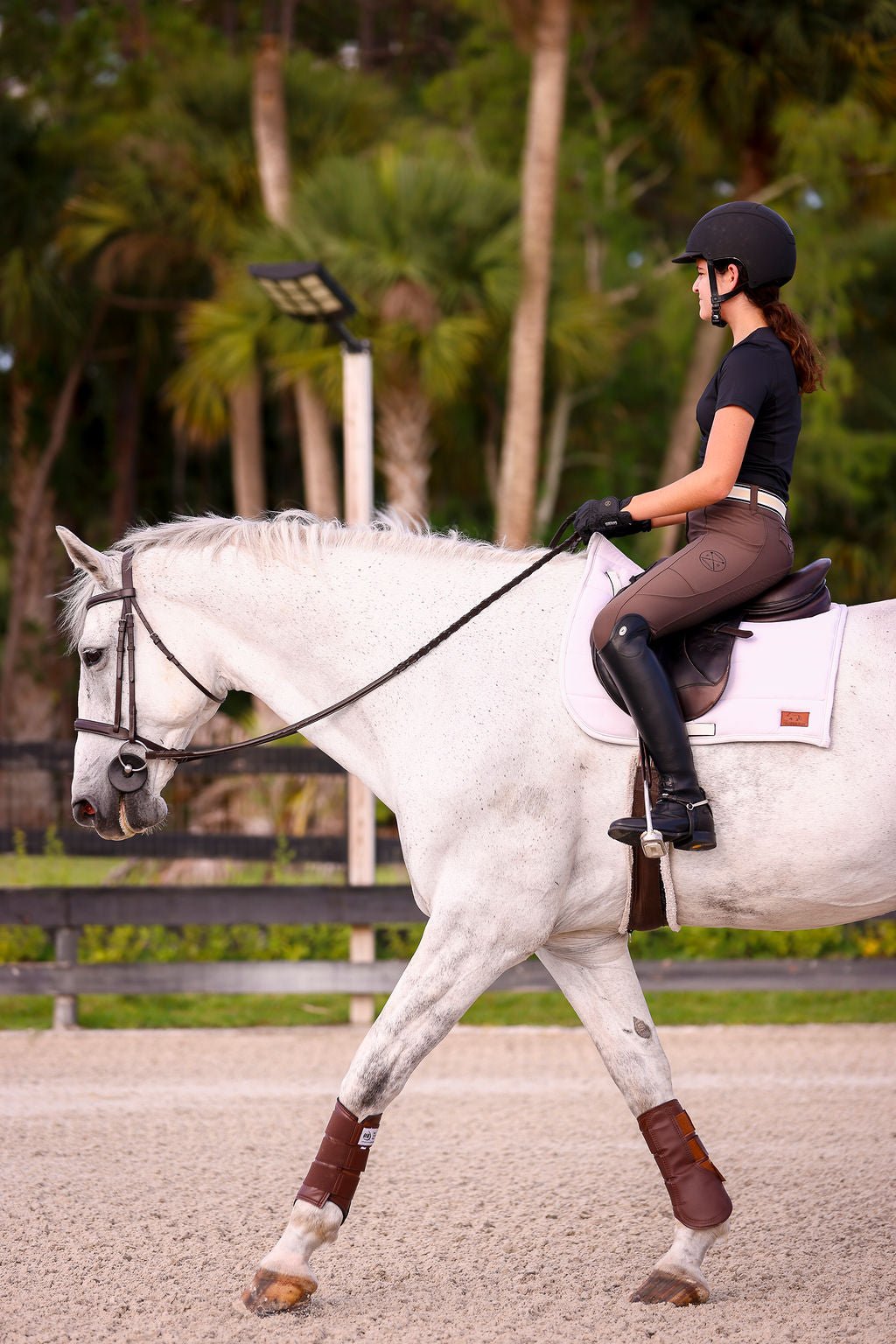 The Proper Fox Black Short Sleeve - Equiluxe Tack