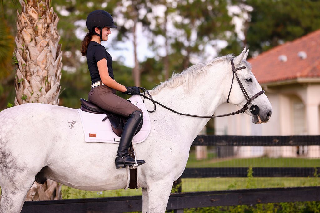 The Proper Fox Black Short Sleeve - Equiluxe Tack