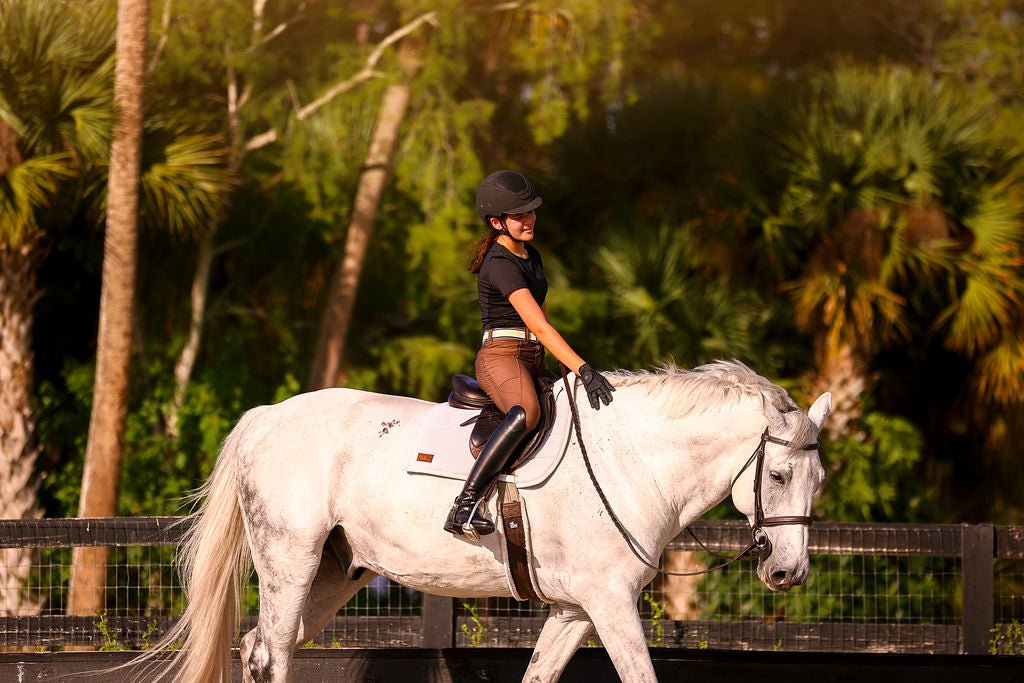 The Proper Fox Black Short Sleeve - Equiluxe Tack