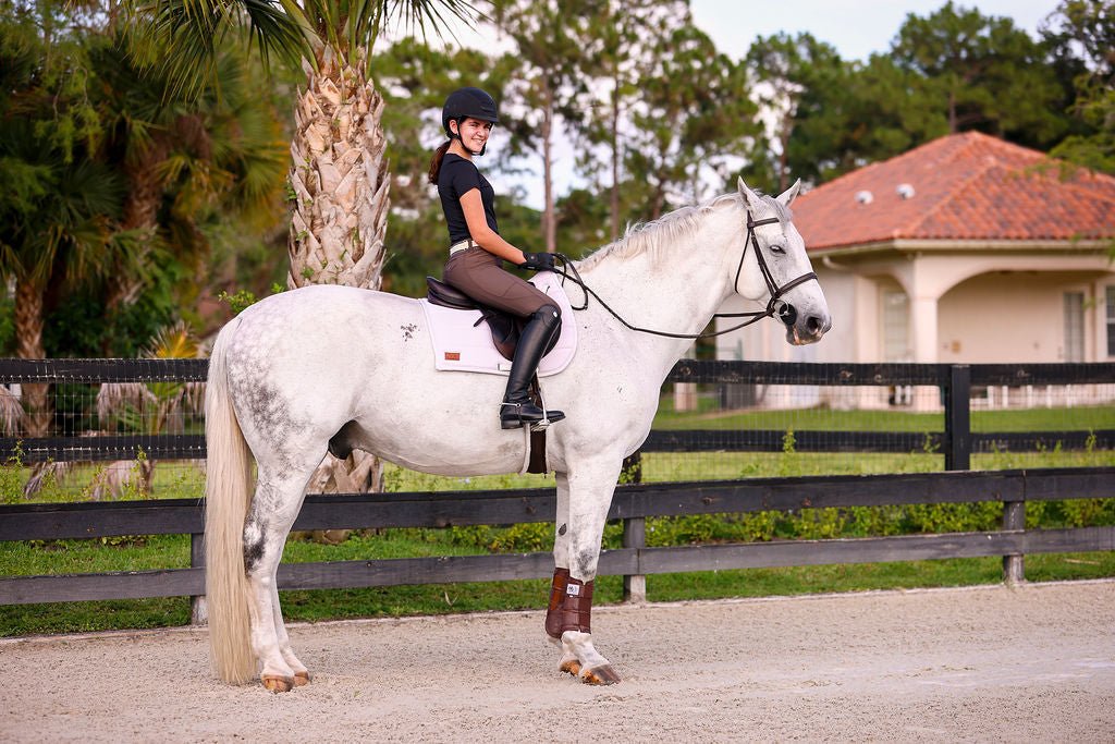 The Proper Fox Black Short Sleeve - Equiluxe Tack