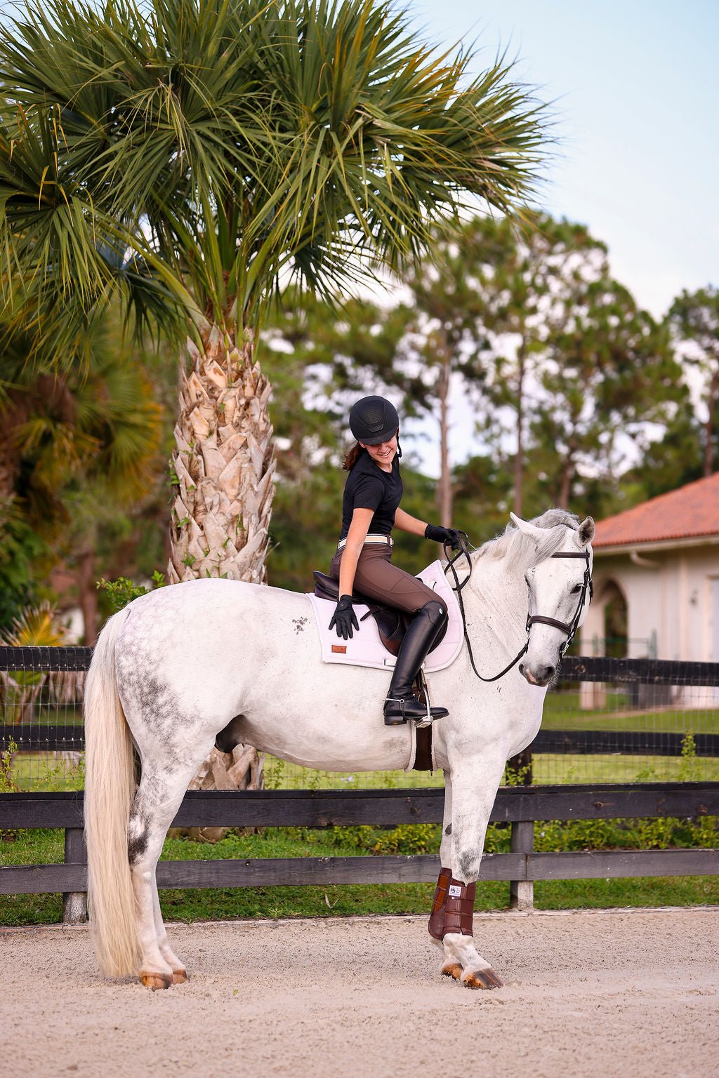 The Proper Fox Black Short Sleeve - Equiluxe Tack