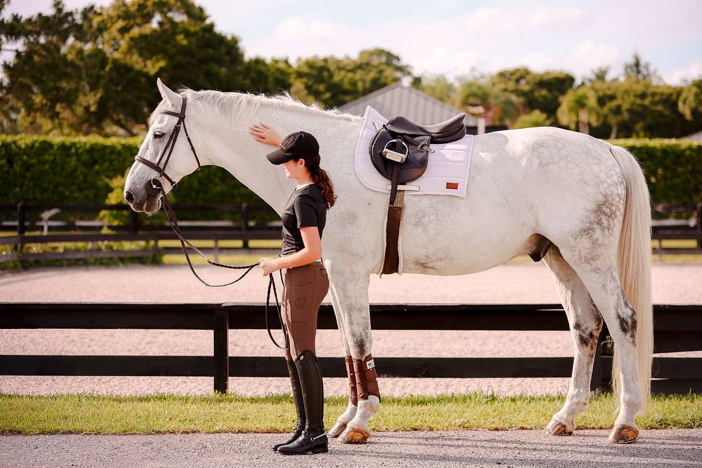 The Proper Fox Black Short Sleeve - Equiluxe Tack
