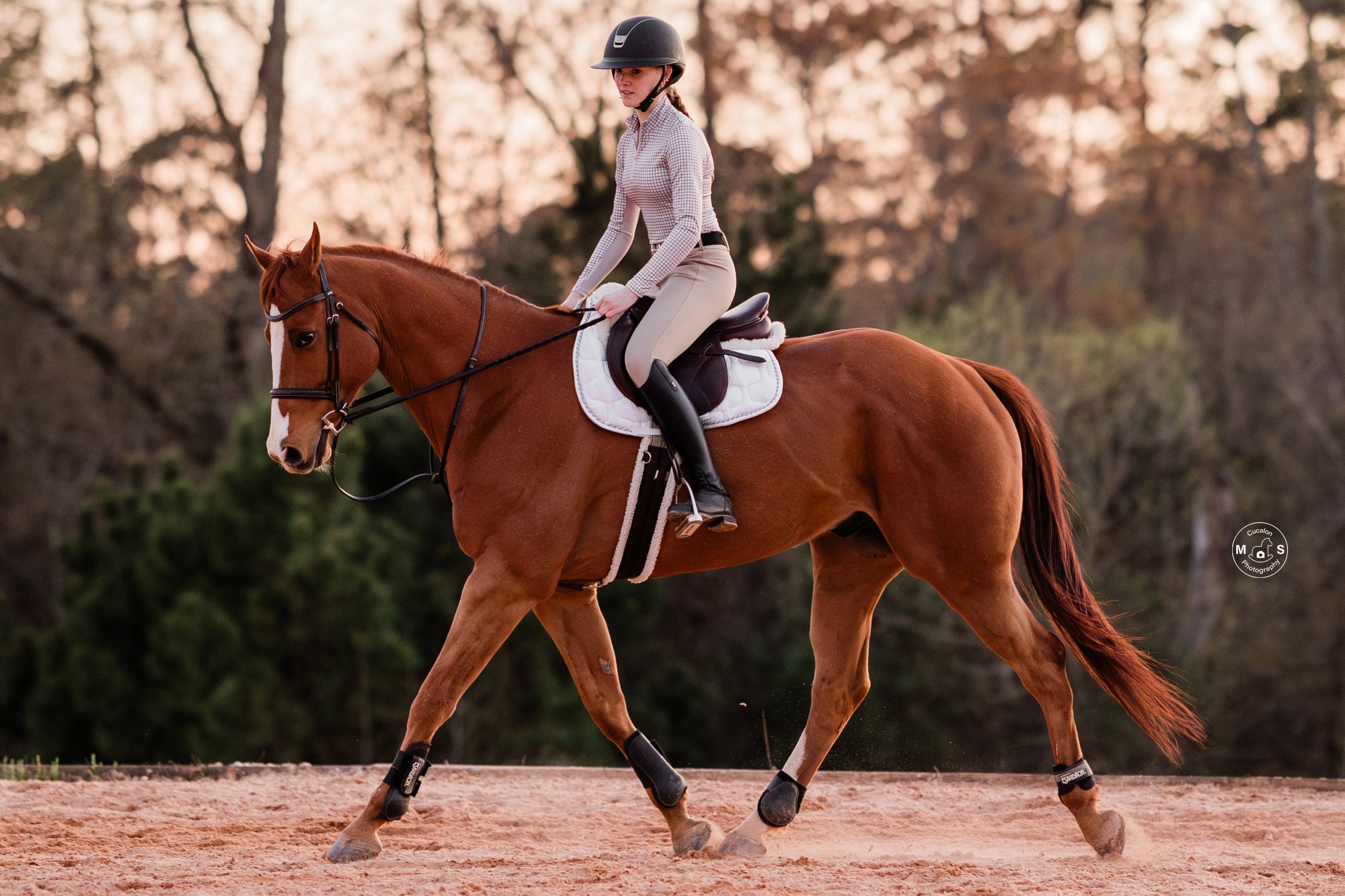 The Proper Fox Burgundy Plaid Sun Shirt - Equiluxe Tack