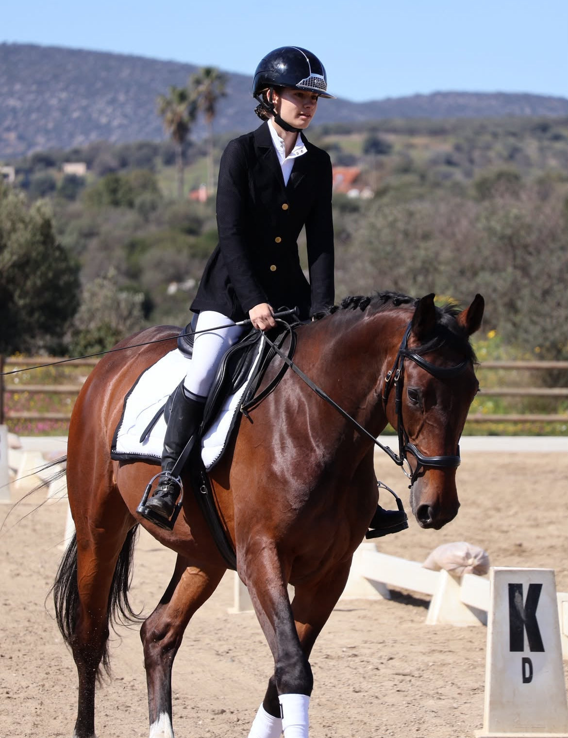 The Proper Fox Competition Top - Equiluxe Tack