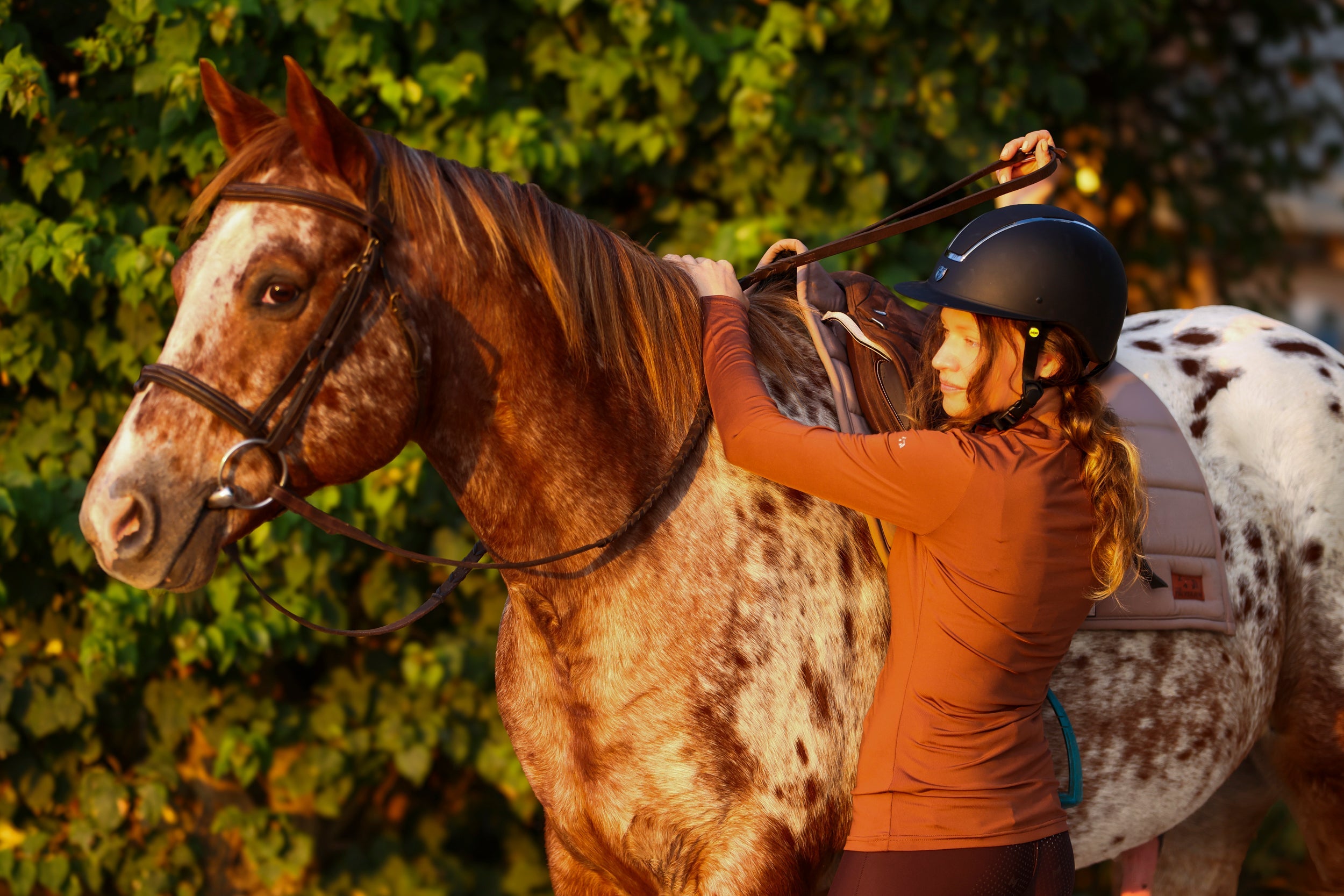 The Proper Fox Mocha Mockneck - Equiluxe Tack