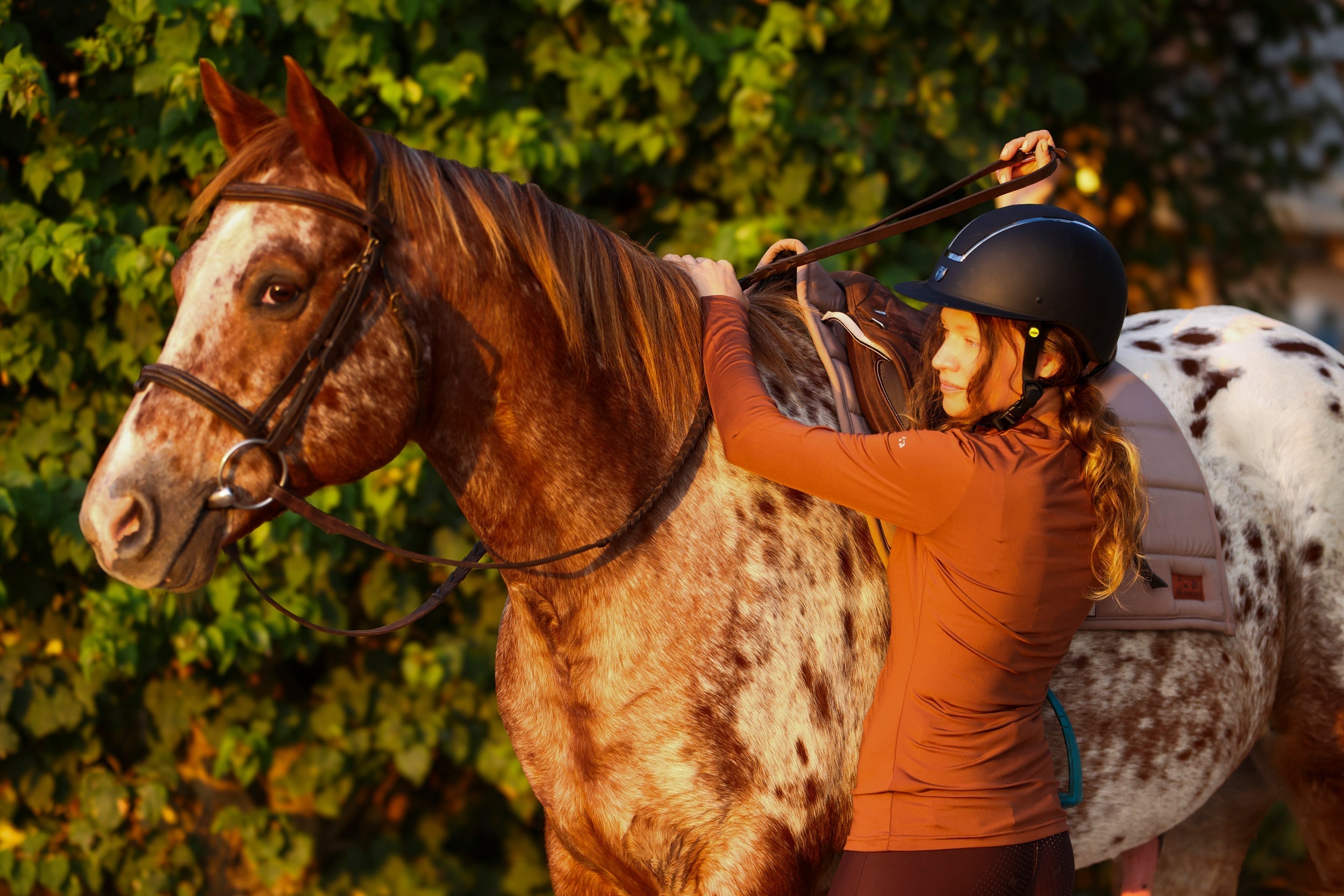 The Proper Fox Mocha Mockneck - Equiluxe Tack