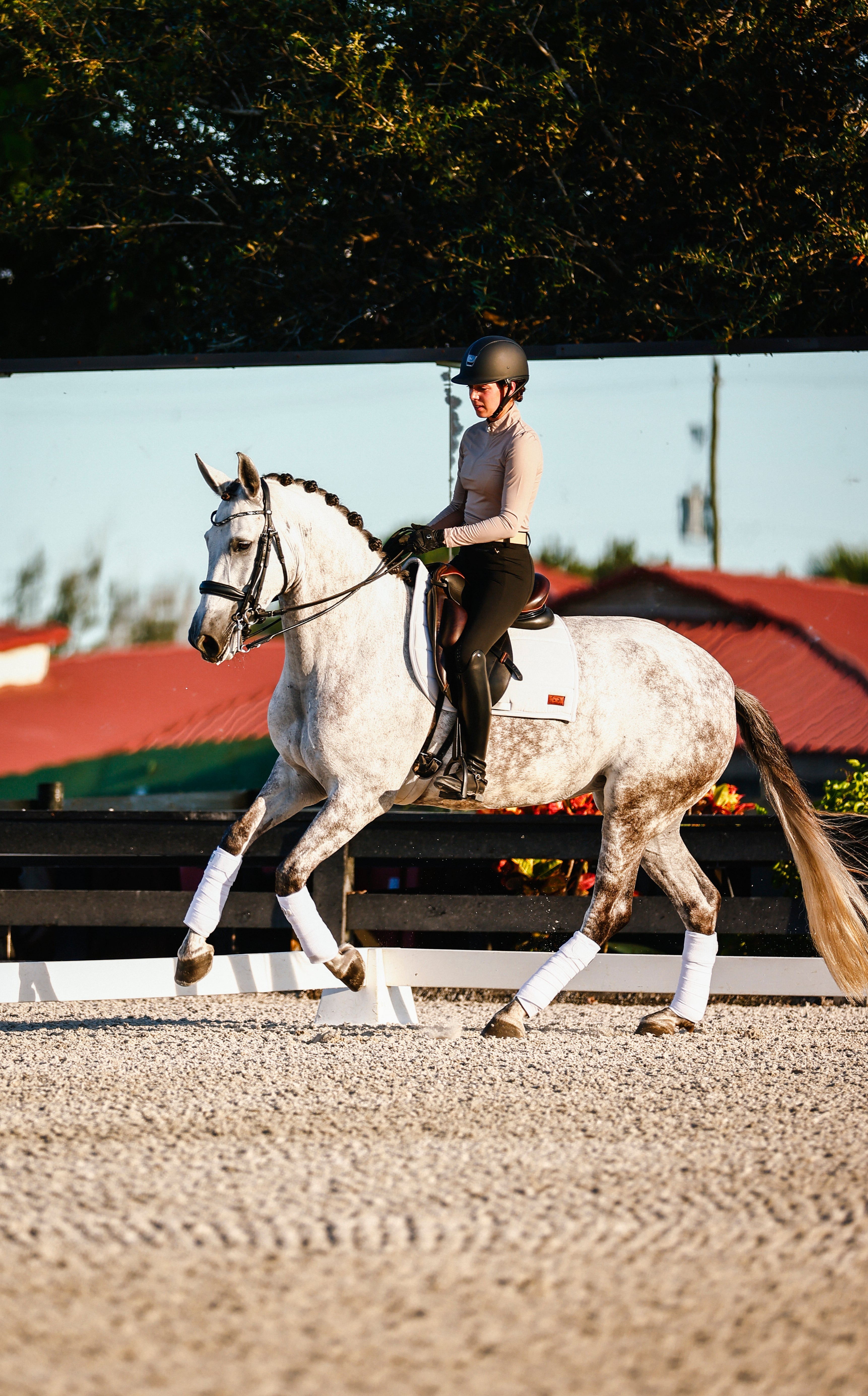 The Proper Fox Solid Beige Sunshirt - Equiluxe Tack