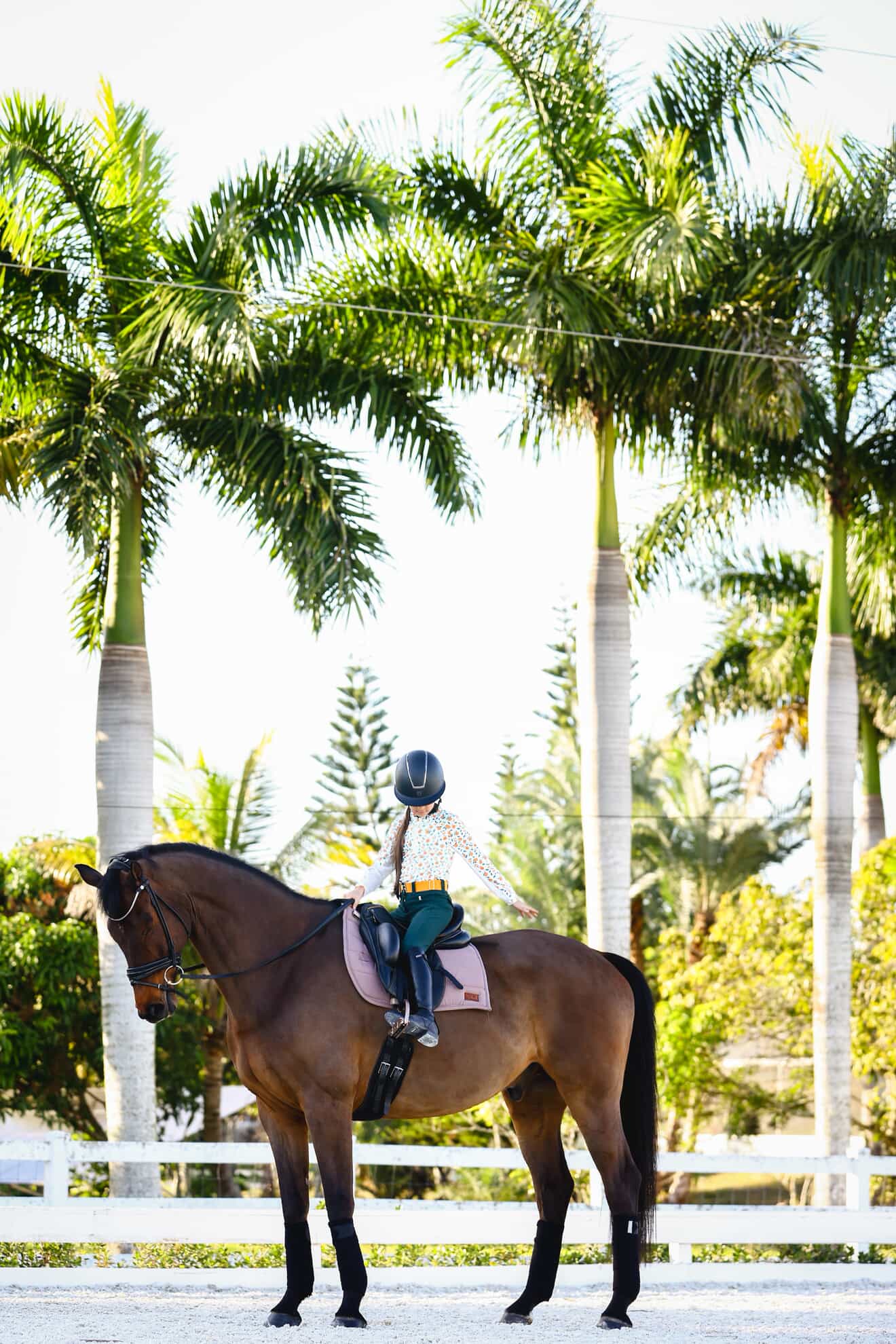 The Proper Fox Youth Citrus Sun Shirt - Equiluxe Tack