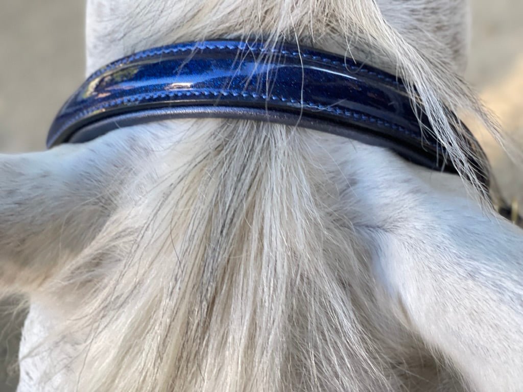 The Revolution Cobalt Blue Leather Halter - 'Pathway to the Podium' - Halter Ego® - Equiluxe Tack