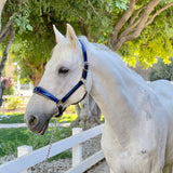 The Revolution Cobalt Blue Leather Halter - 'Pathway to the Podium' - Halter Ego® - Equiluxe Tack