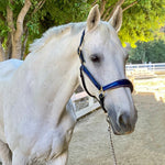 The Revolution Cobalt Blue Leather Halter - 'Pathway to the Podium' - Halter Ego® - Equiluxe Tack