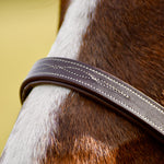 The Rowan Hunter Bridle - Auven Equestrian - Equiluxe Tack