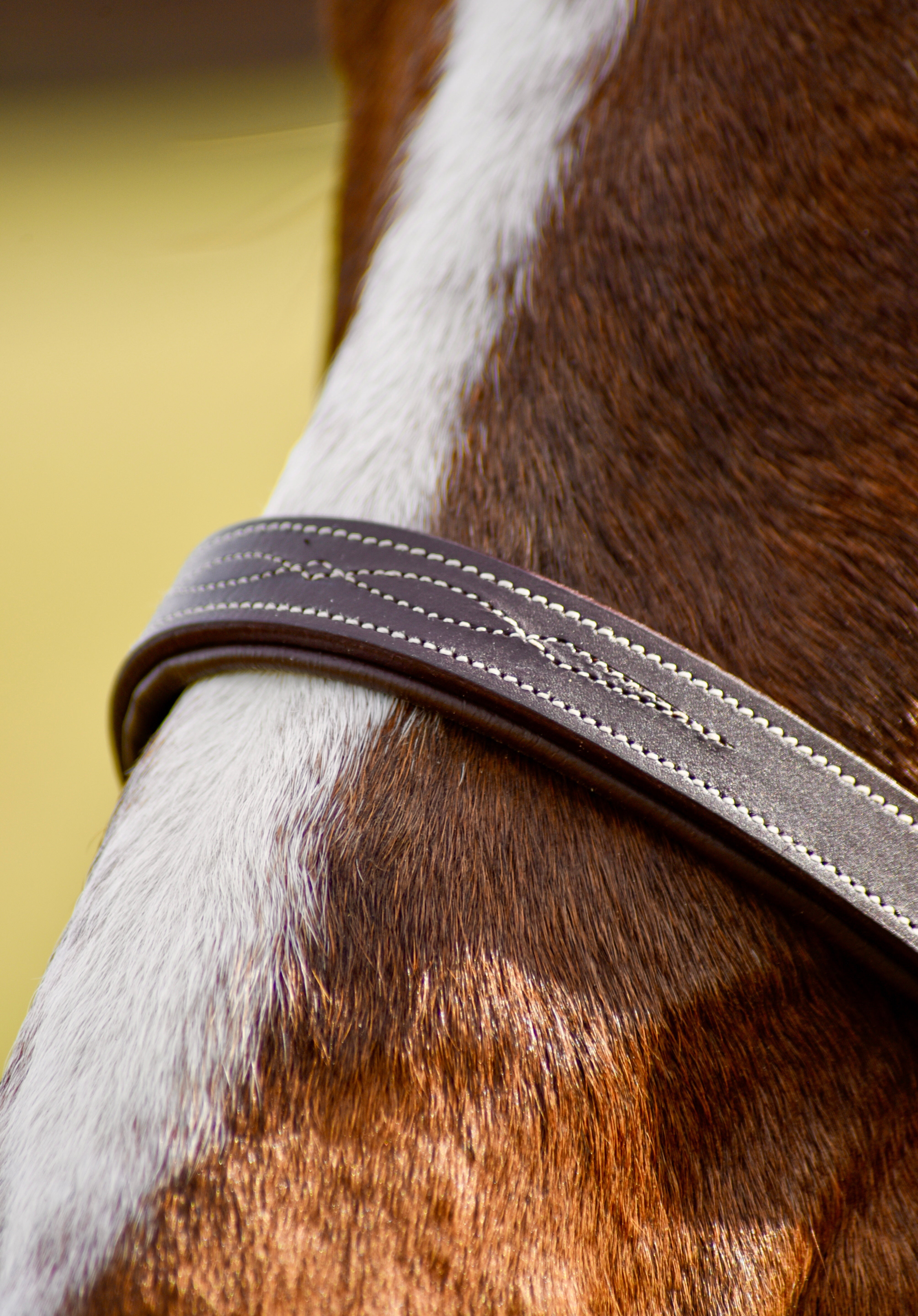 The Rowan Hunter Bridle - Auven Equestrian - Equiluxe Tack