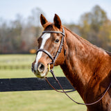 The Rowan Hunter Bridle - Auven Equestrian - Equiluxe Tack