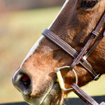 The Rowan Hunter Bridle - Auven Equestrian - Equiluxe Tack