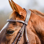 The Rowan Hunter Bridle - Auven Equestrian - Equiluxe Tack