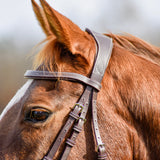 The Rowan Hunter Bridle - Auven Equestrian - Equiluxe Tack