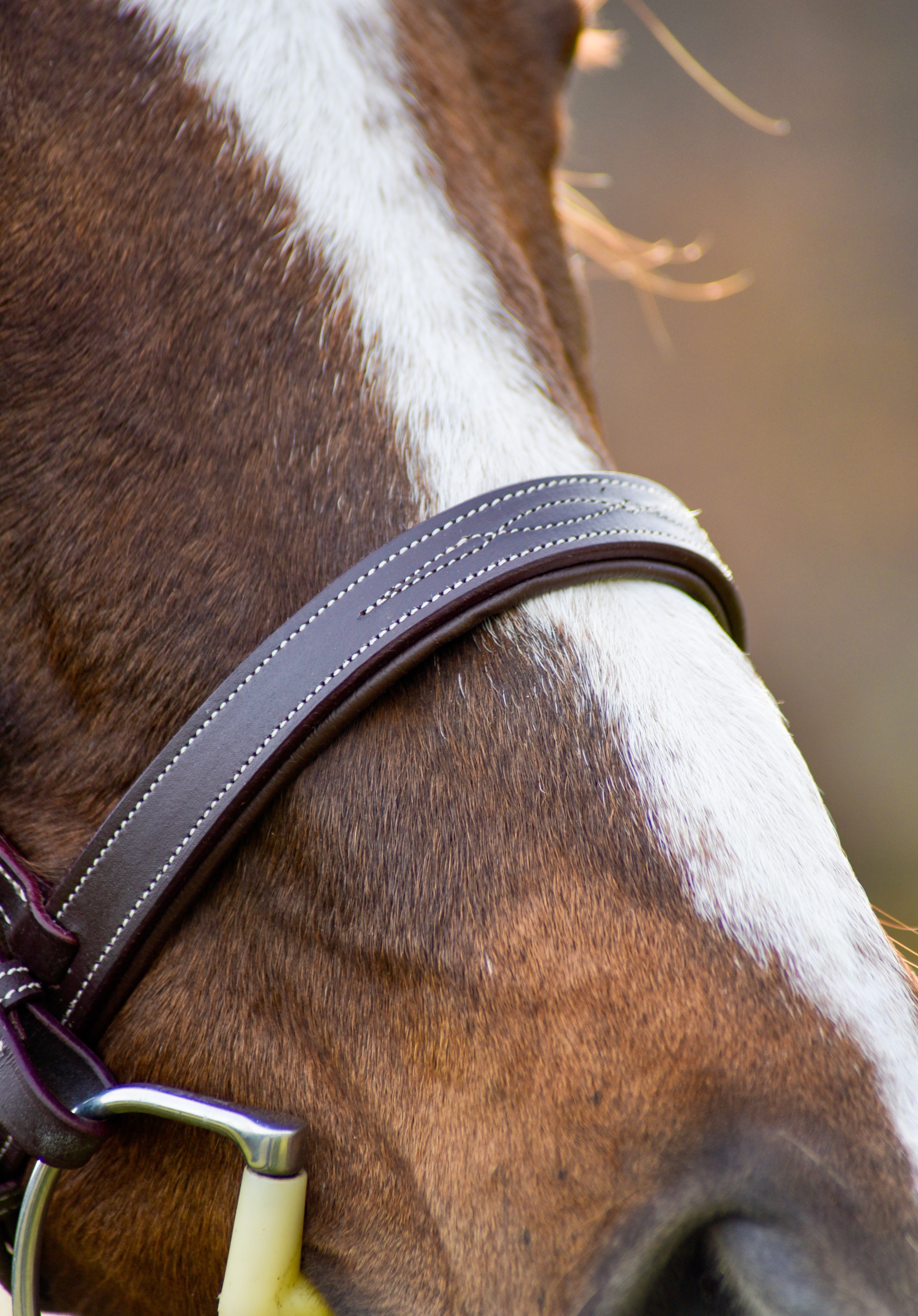 The Rowan Hunter Bridle - Auven Equestrian - Equiluxe Tack