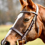 The Rowan Hunter Bridle - Auven Equestrian - Equiluxe Tack